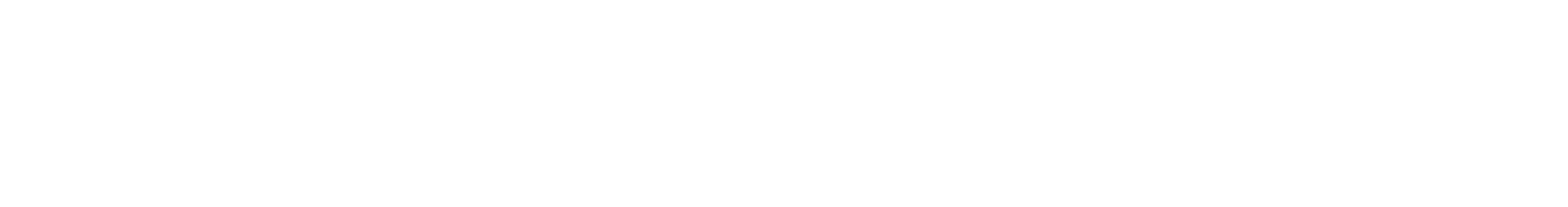 Ruberto Inc.
